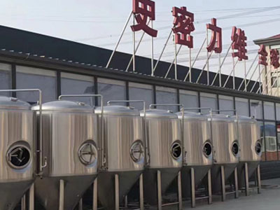 滨海精酿啤酒设备厂—如何判断精酿啤酒设备的密封件需要更换？